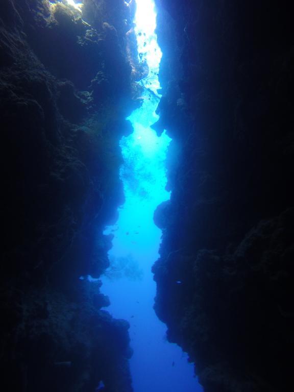 Biorock Homestay & Dive Center Pemuteran Екстериор снимка