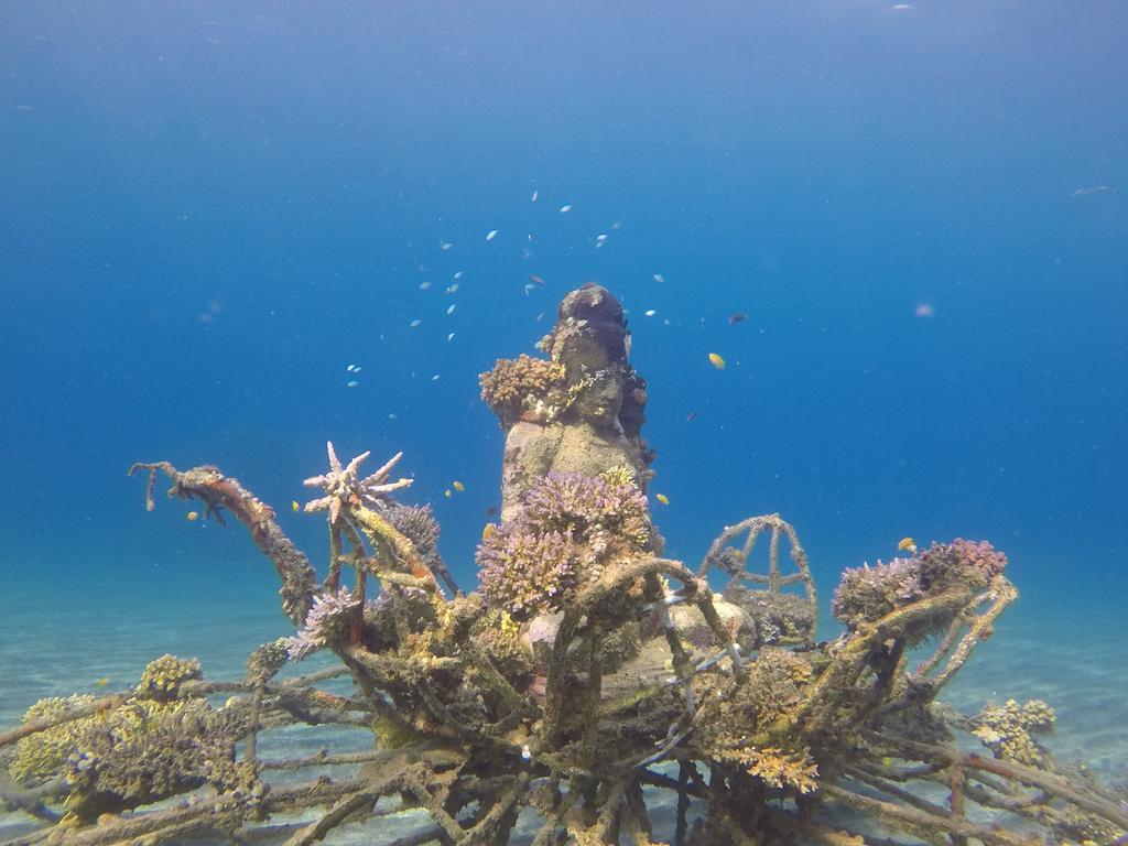 Biorock Homestay & Dive Center Pemuteran Екстериор снимка