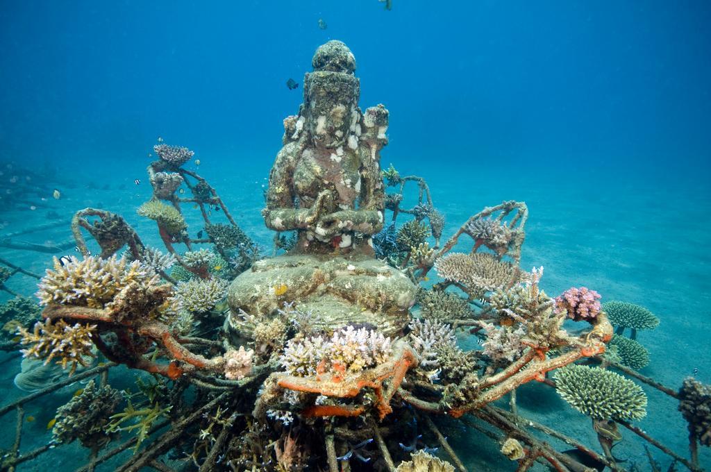 Biorock Homestay & Dive Center Pemuteran Екстериор снимка