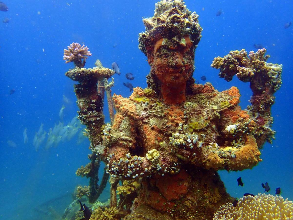 Biorock Homestay & Dive Center Pemuteran Екстериор снимка